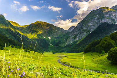 Scenic view of field against sky