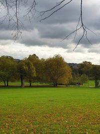 Trees on field against sky during autumn