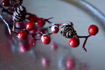 Close-up of cherries