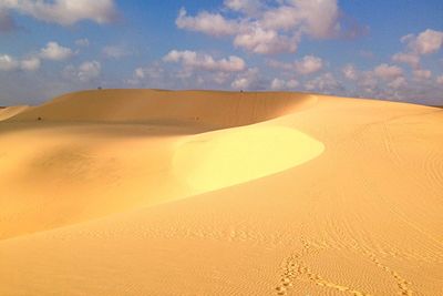 Scenic view of desert