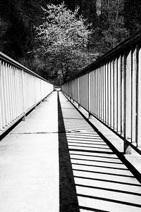 Footbridge against trees