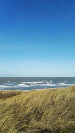 Scenic view of beach against clear blue sky