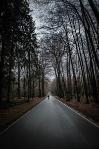 Road amidst trees in forest