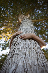 Low angle view of woman on tree trunk