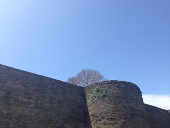 Low angle view of clear blue sky