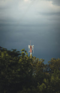 Telecommunications antenna between trees