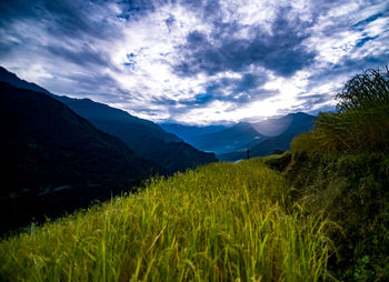 Scenic view of field and mountains against sky