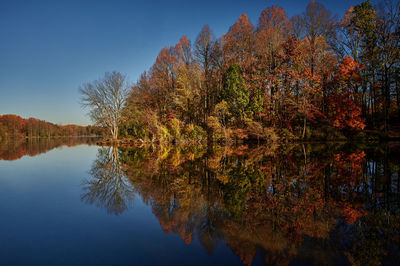 reflection