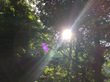 Low angle view of trees against sky