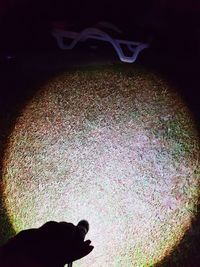 Close-up of silhouette cat