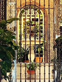 Closed metal gate of building