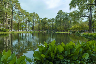 Scenic view of lake against sky