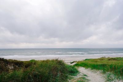 Scenic view of beach against cloudy sky