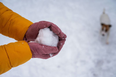 Cropped hand of person holding snow