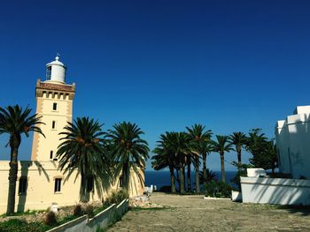 Palm trees and building against blue sky