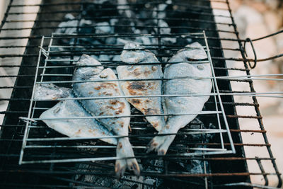 Close-up of fish on barbecue grill