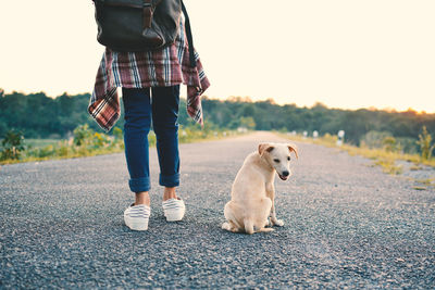 Low section of woman with dog  on road