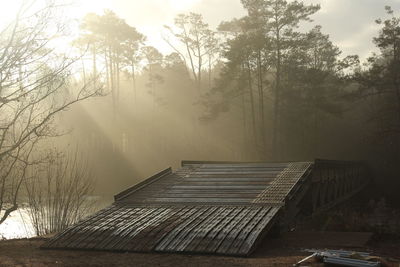 Scenic view of forest against sky during winter