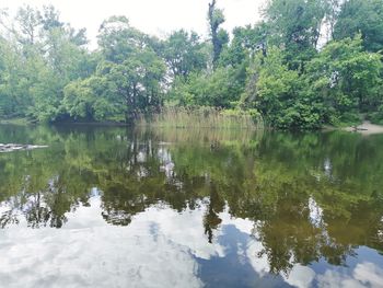 Scenic view of lake in forest against sky