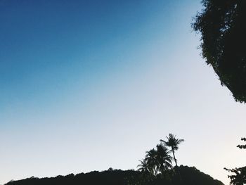 Low angle view of silhouette palm trees against clear blue sky