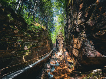 Walkway at flume gorge, new hampshire 