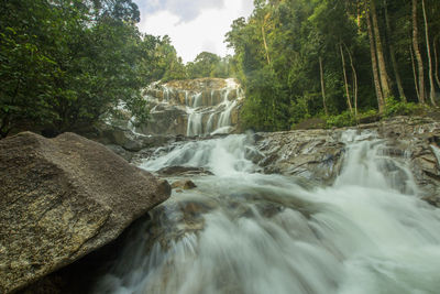 Scenic view of waterfall in forest