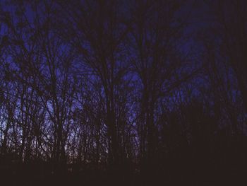 Low angle view of silhouette trees in forest against sky at night