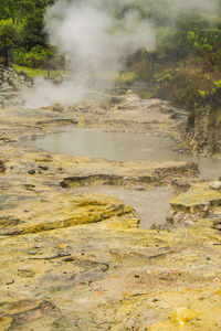 Scenic view of landscape