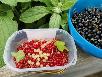 High angle view of fruits in bowl on table