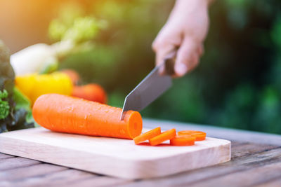 Close-up of hand holding food