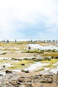 The basalt on the coast