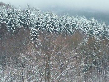 View of snow covered landscape