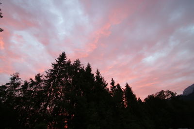 Silhouette of trees against cloudy sky