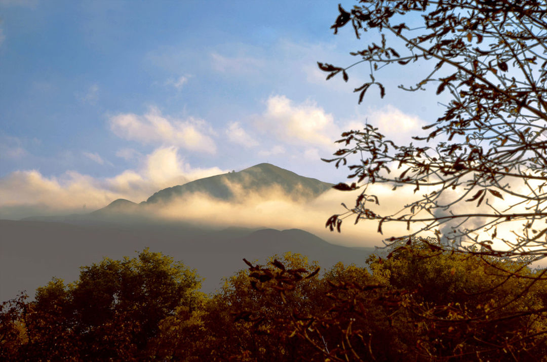 nature, mountain, beauty in nature, tree, landscape, sunset, scenics, sky, outdoors, tranquility, mountain range, forest, fog, no people, cloud - sky, day