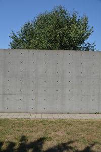 Trees on grassy field