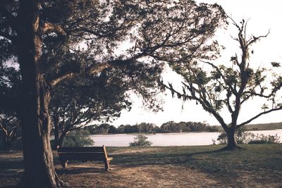 Trees by lake against sky