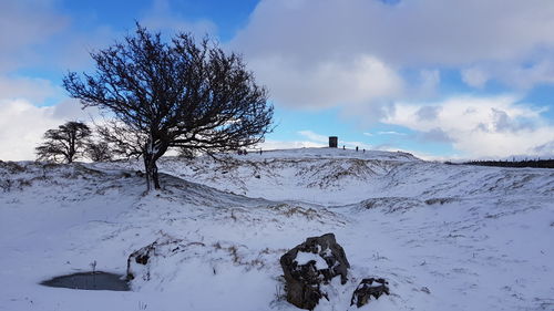 Bare tree on snow covered landscape against sky