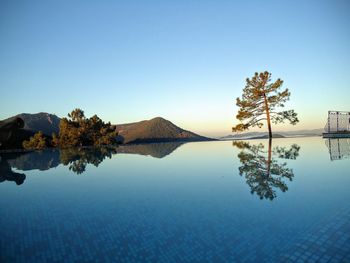 Reflection of trees in lake against clear blue sky