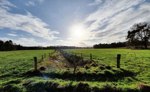 Scenic view of field against sky