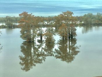 Reflection of trees in lake against sky