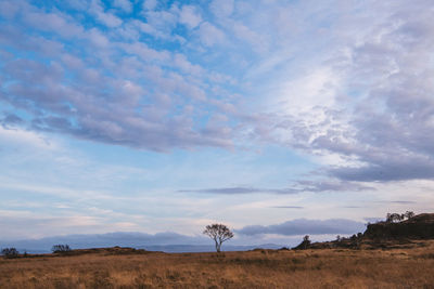 Scenic view of field against sky during sunset