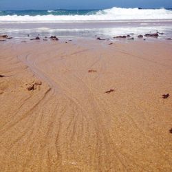 Scenic view of beach