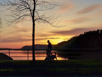 Silhouette man sitting by tree against orange sky