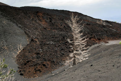 Scenic view of mountain against sky