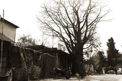 Bare trees by building against sky