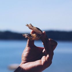 Close-up of man hand holding sea against sky