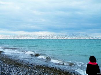 Rear view of man standing on beach against sky