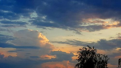 Low angle view of silhouette tree against sky during sunset