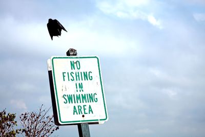 Low angle view of a bird sign