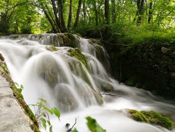 Scenic view of waterfall in forest